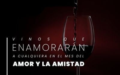 Vinos que enamoran a cualquiera en el mes del amor y la amistad