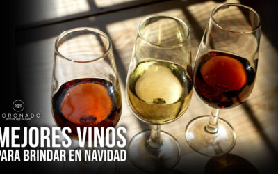 ¡Mejores vinos para brindar en navidad!