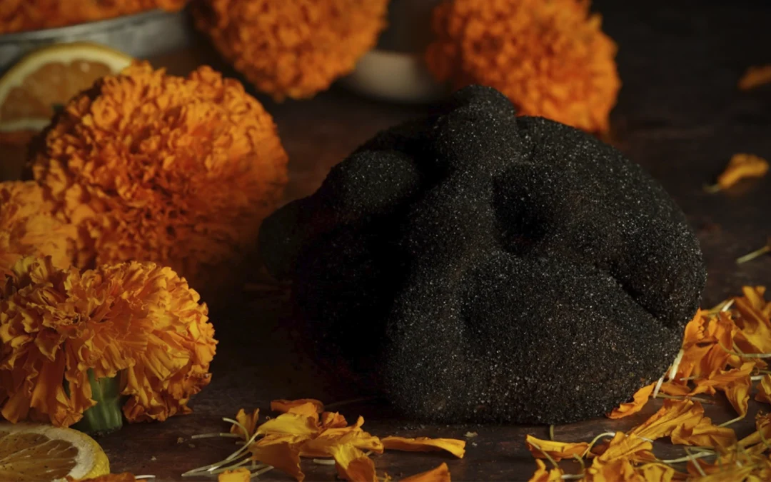 Pan de muerto de vanguardia: tradición que evoluciona